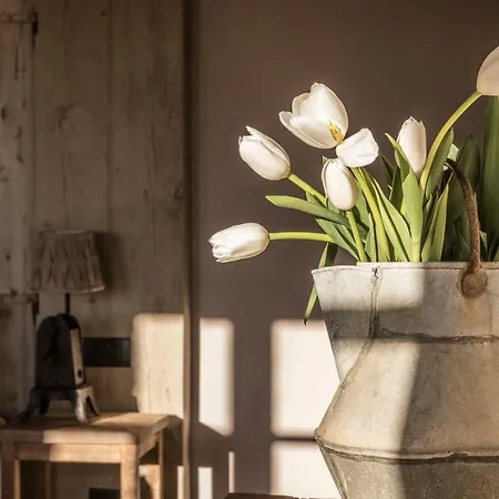 Borgo Antichi Orti Hotel 4*