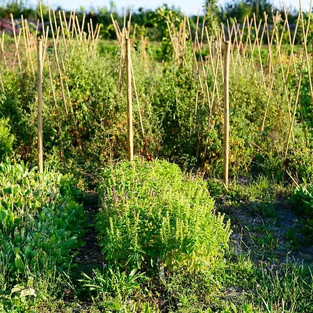 Borgo Antichi Orti Hotel