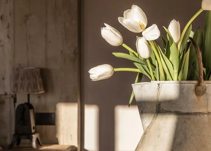 Borgo Antichi Orti Hotel 4*