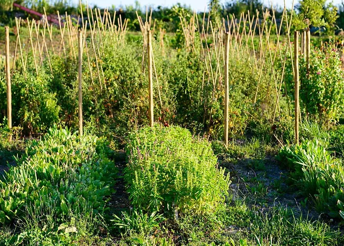 Borgo Antichi Orti Hotel